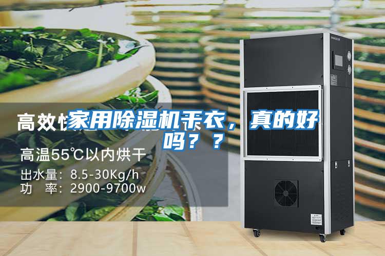 家用除濕機干衣，真的好嗎？？