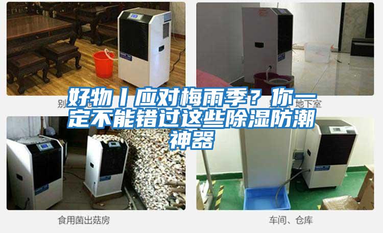 好物丨應對梅雨季？你一定不能錯過(guò)這些除濕防潮神器
