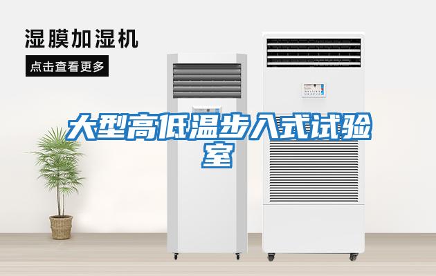大型高低溫步入式試驗室