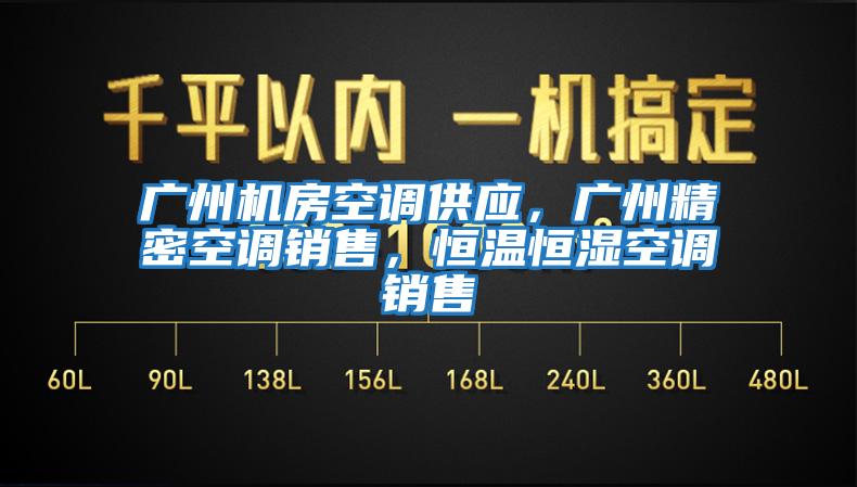 廣州機房空調供應，廣州精密空調銷(xiāo)售，恒溫恒濕空調銷(xiāo)售
