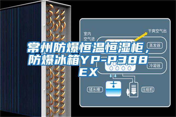 常州防爆恒溫恒濕柜，防爆冰箱YP-P388EX