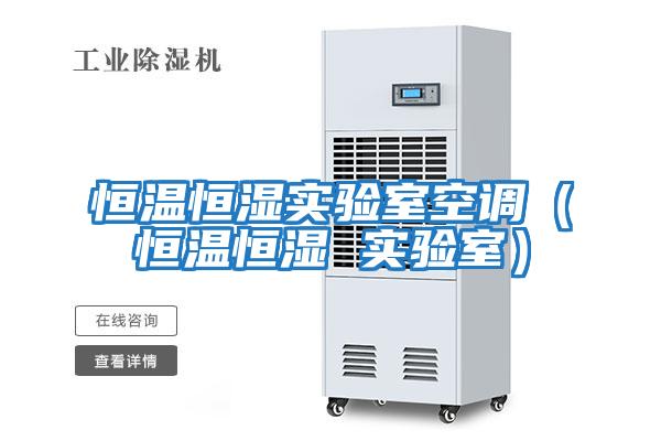 恒溫恒濕實(shí)驗室空調（恒溫恒濕 實(shí)驗室）