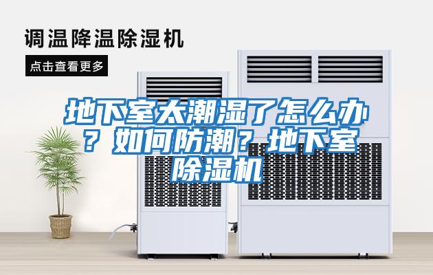 地下室太潮濕了怎么辦？如何防潮？地下室除濕機