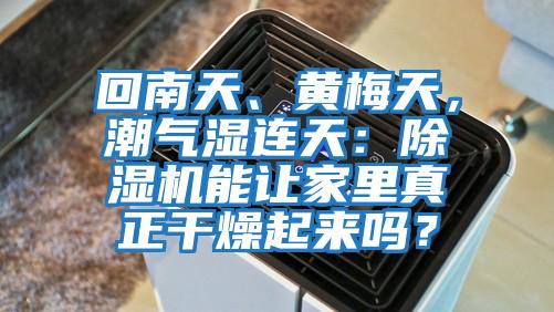 回南天、黃梅天，潮氣濕連天：除濕機能讓家里真正干燥起來(lái)嗎？