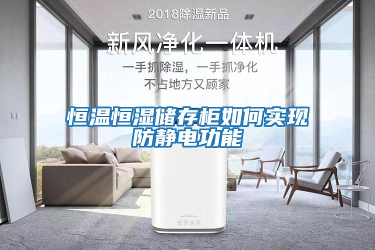 恒溫恒濕儲存柜如何實(shí)現防靜電功能