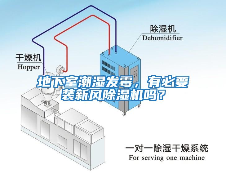 地下室潮濕發(fā)霉，有必要裝新風(fēng)除濕機嗎？