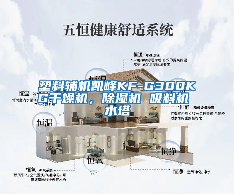 塑料輔機凱峰KF-G300KG干燥機，除濕機 吸料機 水塔