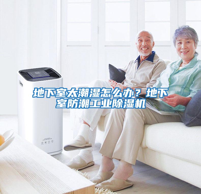 地下室太潮濕怎么辦？地下室防潮工業(yè)除濕機