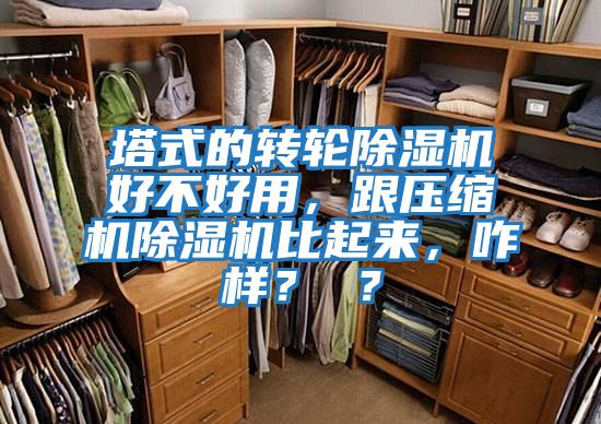 塔式的轉輪除濕機好不好用，跟壓縮機除濕機比起來(lái)，咋樣？ ？