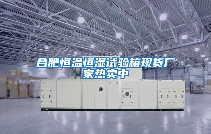 合肥恒溫恒濕試驗箱現貨廠(chǎng)家熱賣(mài)中