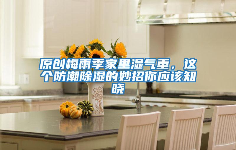 原創(chuàng  )梅雨季家里濕氣重，這個(gè)防潮除濕的妙招你應該知曉