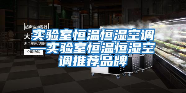 實(shí)驗室恒溫恒濕空調—實(shí)驗室恒溫恒濕空調推薦品牌