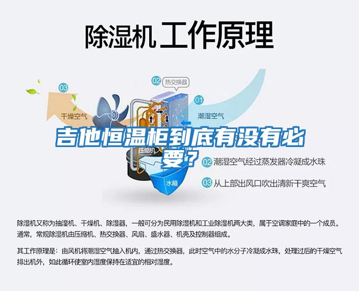 吉他恒溫柜到底有沒(méi)有必要？