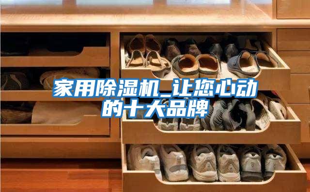 家用除濕機_讓您心動(dòng)的十大品牌