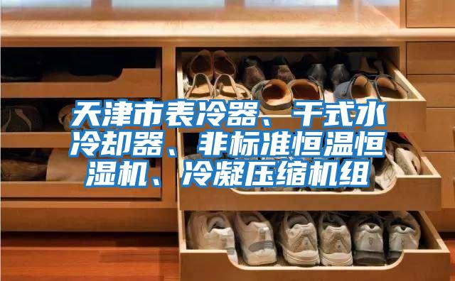 天津市表冷器、干式水冷卻器、非標準恒溫恒濕機、冷凝壓縮機組