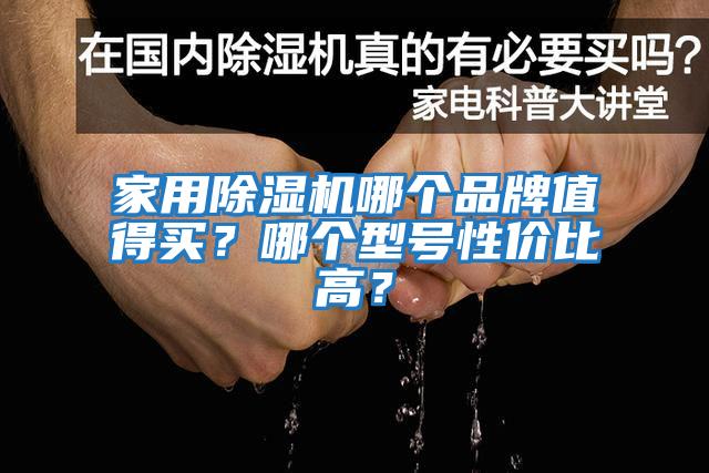 家用除濕機哪個(gè)品牌值得買(mǎi)？哪個(gè)型號性?xún)r(jià)比高？