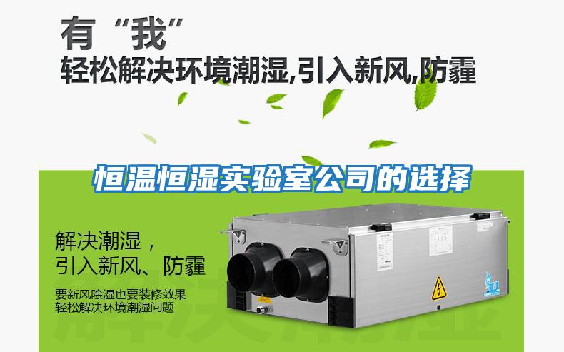 恒溫恒濕實(shí)驗室公司的選擇