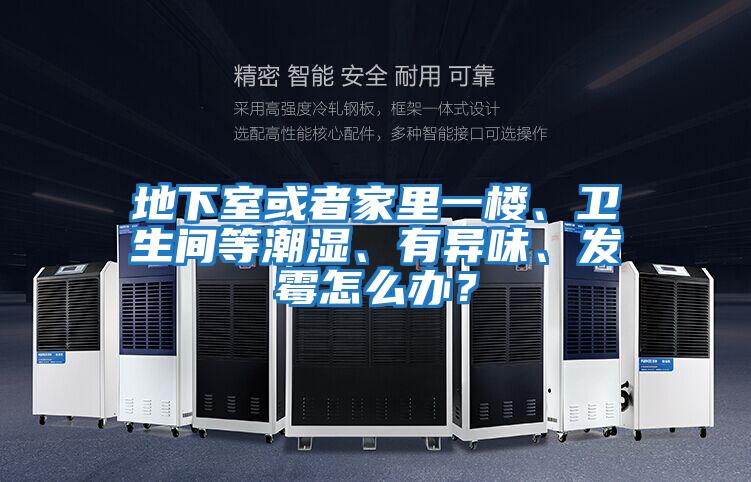 地下室或者家里一樓、衛生間等潮濕、有異味、發(fā)霉怎么辦？