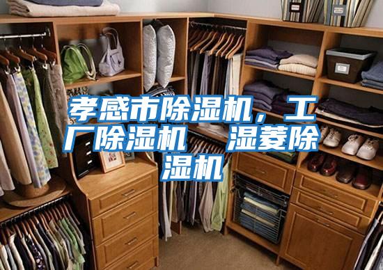 孝感市除濕機，工廠(chǎng)除濕機  濕菱除濕機