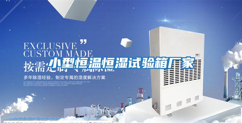 小型恒溫恒濕試驗箱廠(chǎng)家