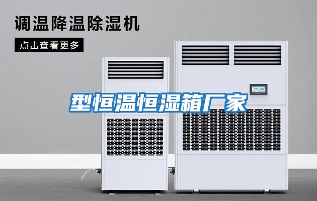 型恒溫恒濕箱廠(chǎng)家