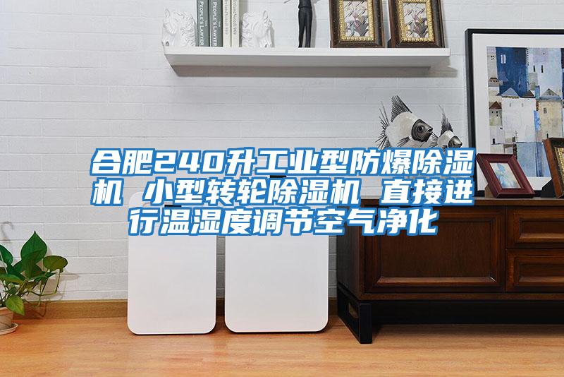 合肥240升工業(yè)型防爆除濕機 小型轉輪除濕機 直接進(jìn)行溫濕度調節空氣凈化