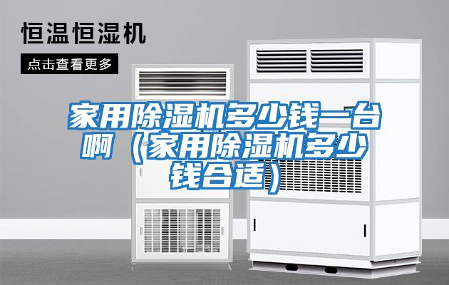 家用除濕機多少錢(qián)一臺?。矣贸凉駲C多少錢(qián)合適）