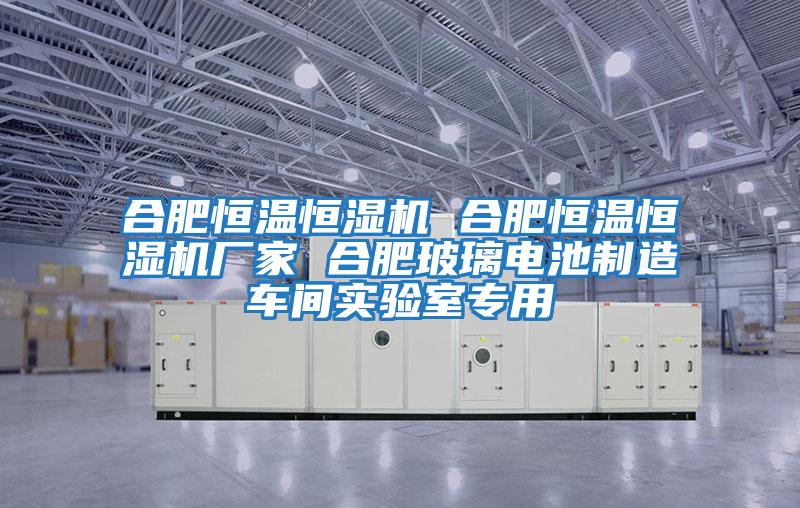 合肥恒溫恒濕機 合肥恒溫恒濕機廠(chǎng)家 合肥玻璃電池制造車(chē)間實(shí)驗室專(zhuān)用