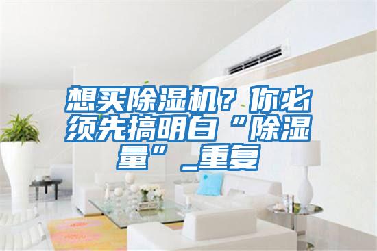 想買(mǎi)除濕機？你必須先搞明白“除濕量”_重復
