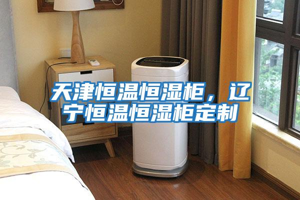 天津恒溫恒濕柜，遼寧恒溫恒濕柜定制