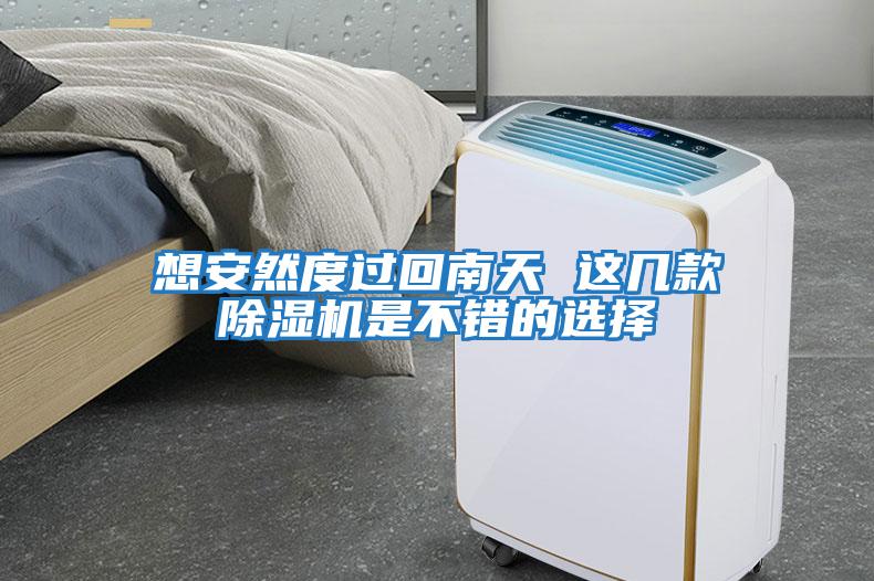 想安然度過(guò)回南天 這幾款除濕機是不錯的選擇