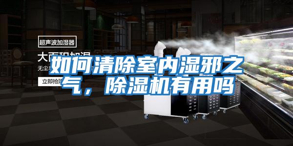 如何清除室內濕邪之氣，除濕機有用嗎