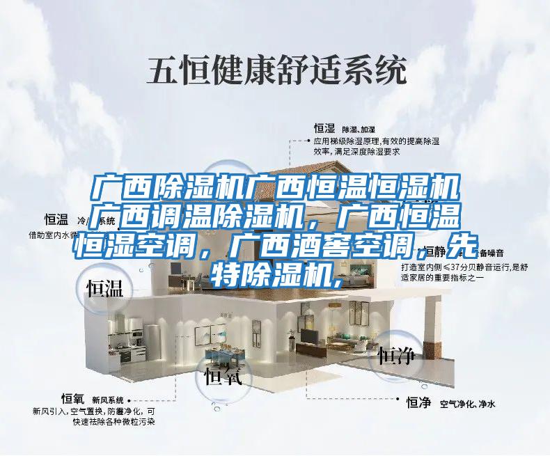 廣西除濕機廣西恒溫恒濕機廣西調溫除濕機，廣西恒溫恒濕空調，廣西酒窖空調，先特除濕機,