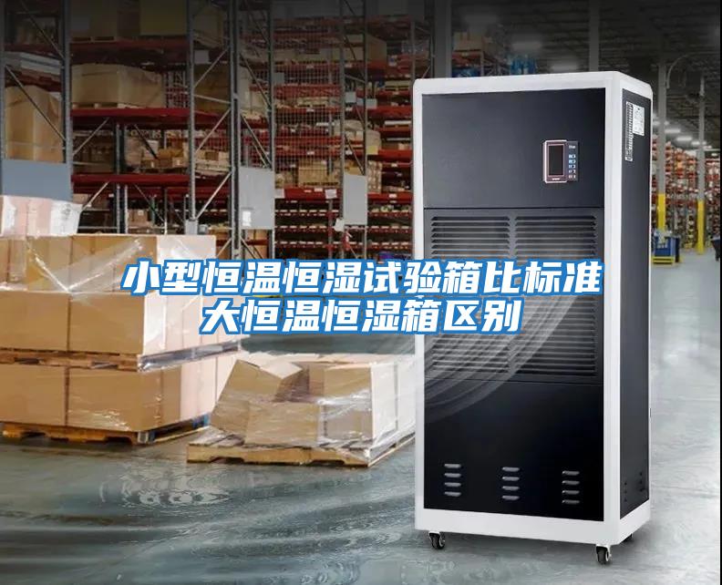 小型恒溫恒濕試驗箱比標準大恒溫恒濕箱區別