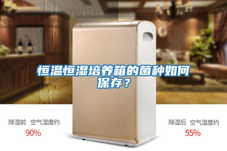 恒溫恒濕培養箱的菌種如何保存？