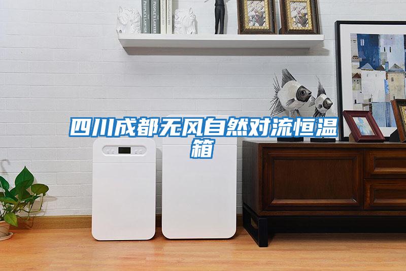 四川成都無(wú)風(fēng)自然對流恒溫箱