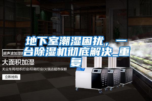 地下室潮濕困擾，一臺除濕機徹底解決_重復