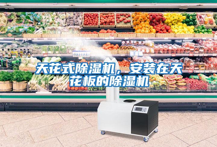 天花式除濕機，安裝在天花板的除濕機