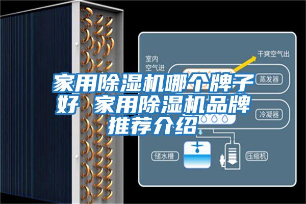 家用除濕機哪個(gè)牌子好 家用除濕機品牌推薦介紹