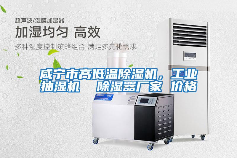 咸寧市高低溫除濕機，工業(yè)抽濕機  除濕器廠(chǎng)家 價(jià)格