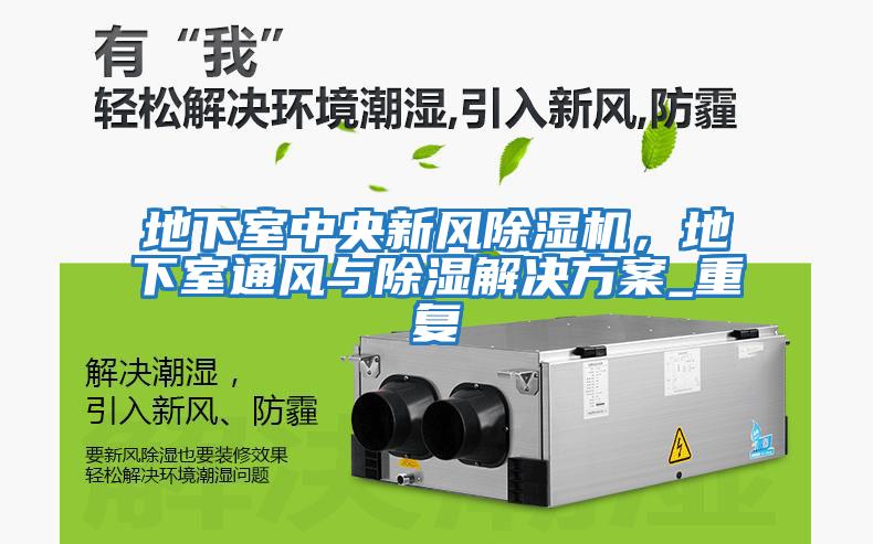 地下室中央新風(fēng)除濕機，地下室通風(fēng)與除濕解決方案_重復