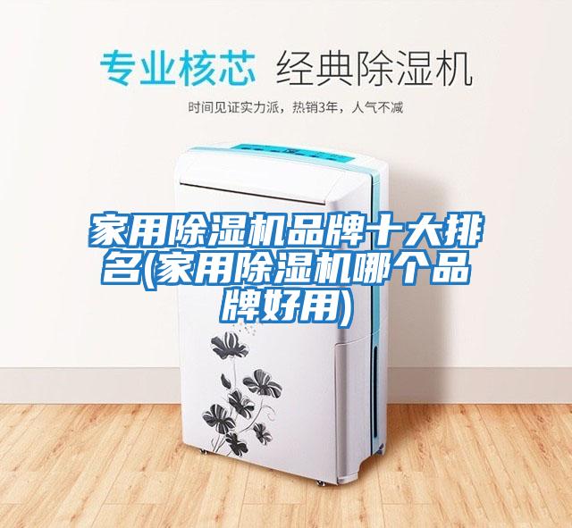 家用除濕機品牌十大排名(家用除濕機哪個(gè)品牌好用)