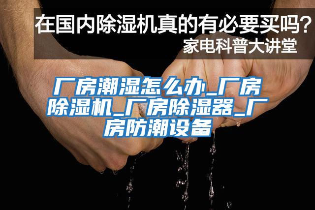 廠(chǎng)房潮濕怎么辦_廠(chǎng)房除濕機_廠(chǎng)房除濕器_廠(chǎng)房防潮設備