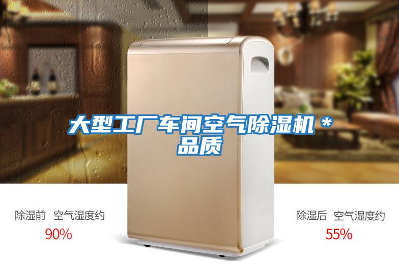 大型工廠(chǎng)車(chē)間空氣除濕機*品質(zhì)