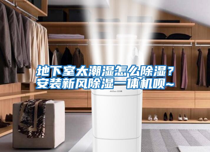 地下室太潮濕怎么除濕？安裝新風(fēng)除濕一體機唄~