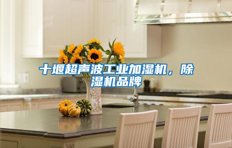 十堰超聲波工業(yè)加濕機，除濕機品牌