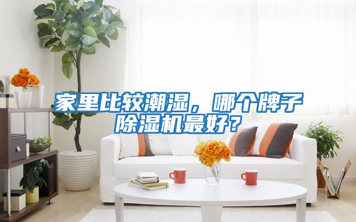 家里比較潮濕，哪個(gè)牌子除濕機最好？
