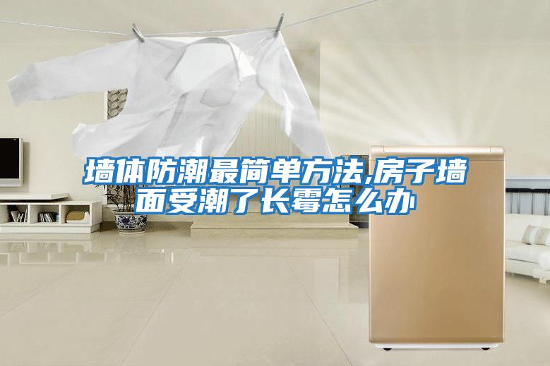 墻體防潮最簡(jiǎn)單方法,房子墻面受潮了長(cháng)霉怎么辦