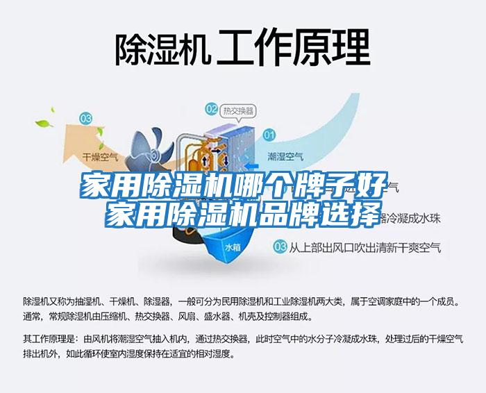 家用除濕機哪個(gè)牌子好 家用除濕機品牌選擇