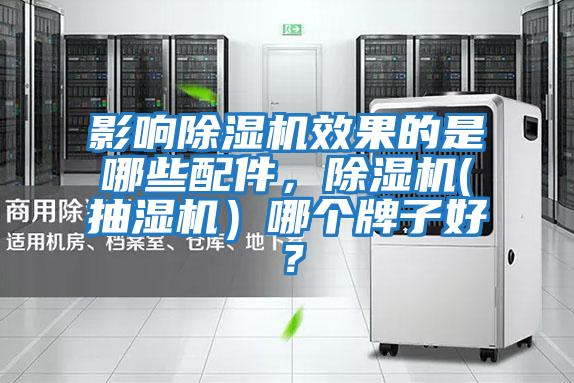 影響除濕機效果的是哪些配件，除濕機(抽濕機）哪個(gè)牌子好？